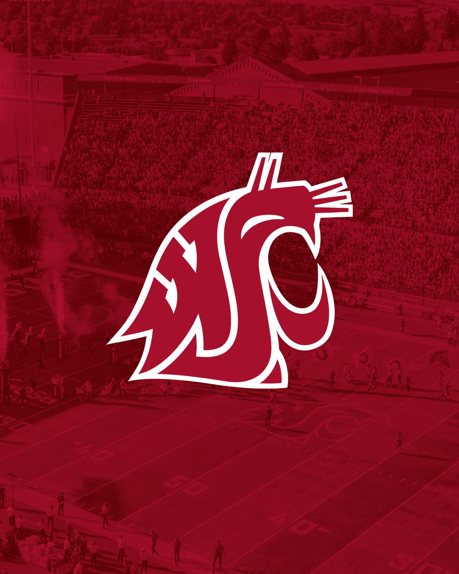 Cougars Auctions